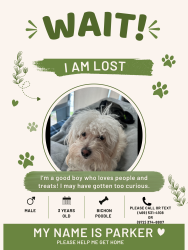 Reunited Male Dog last seen mobile Dr Ennis Texas, Ennis, TX 75119