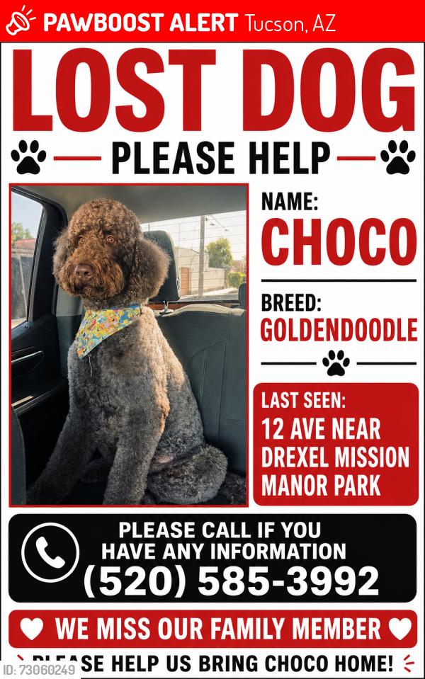Lost Male Dog last seen Blue tie, Tucson, AZ 85706