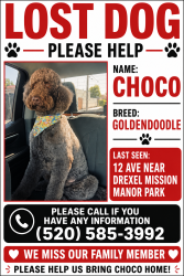 Lost Male Dog last seen Blue tie, Tucson, AZ 85706