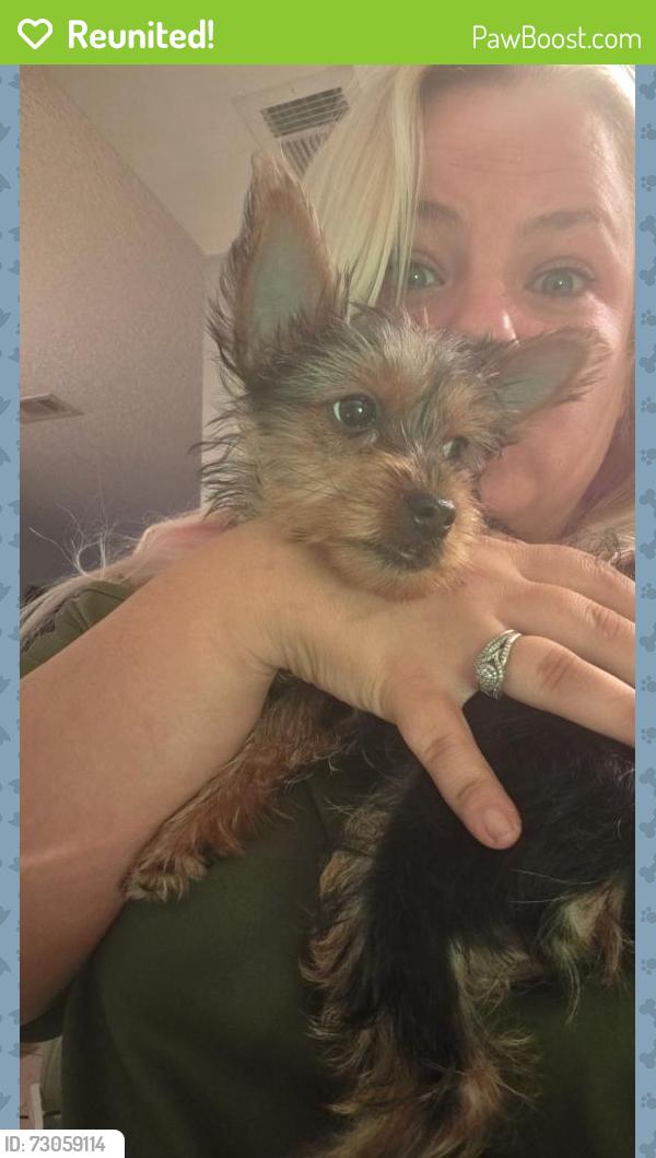 Reunited Female Dog last seen Eldron blvd & ruffin cir, Palm Bay, FL 32909