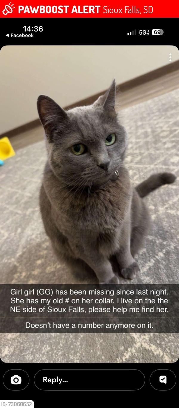 Lost Female Cat last seen NE Sioux Falls, Sioux Falls, SD 57110