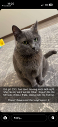Lost Female Cat last seen NE Sioux Falls, Sioux Falls, SD 57110