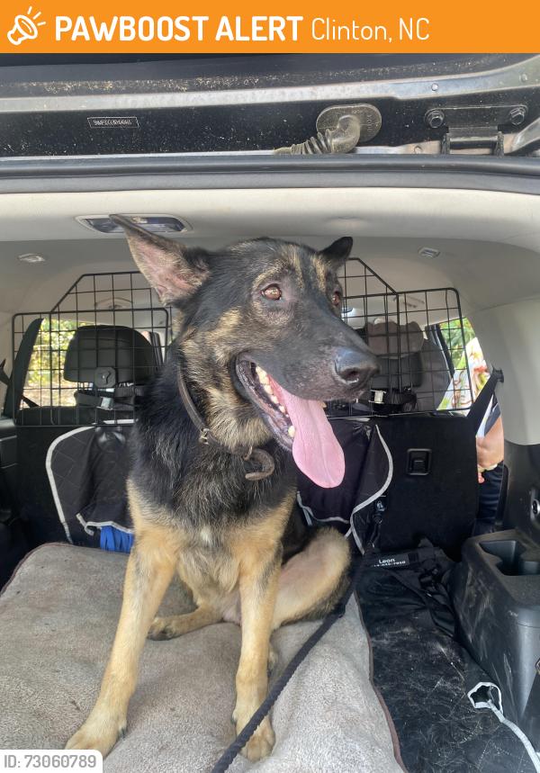Found/Stray Male Dog last seen Sampson YMCA, Clinton, NC 28328