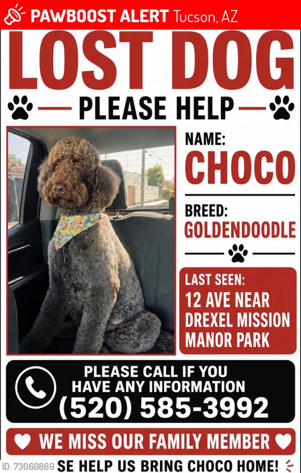 Lost Male Dog last seen Near Avenida entre valencia e irvignton, Tucson, AZ 85706