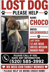 Lost Male Dog last seen Near Avenida entre valencia e irvignton, Tucson, AZ 85706
