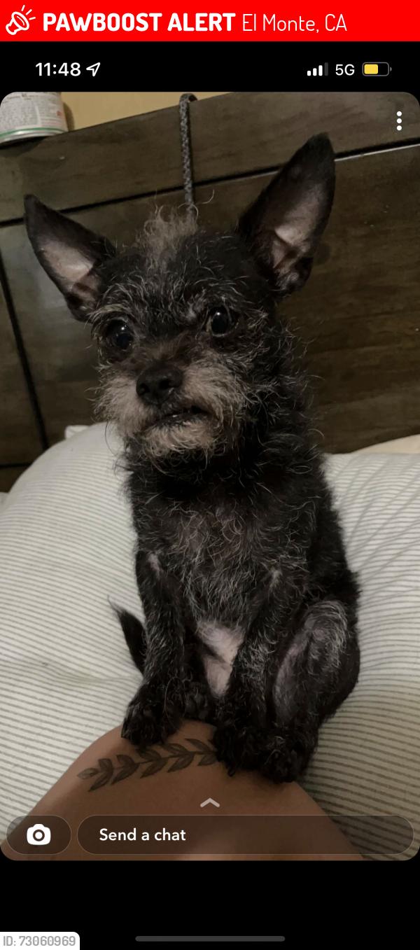 Lost Male Dog last seen deana, El Monte, CA 91732