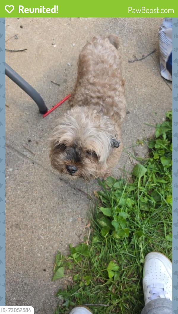 Reunited Male Dog last seen Pulaski rd, Calumet City, IL 60409