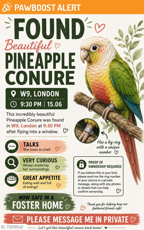 Found/Stray Unknown Bird last seen W9, London, Greater London, England W9