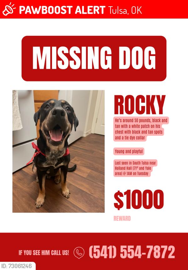 Lost Male Dog last seen 74th Erie, Tulsa, OK 74136