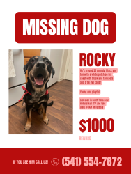 Lost Male Dog last seen 74th Erie, Tulsa, OK 74136