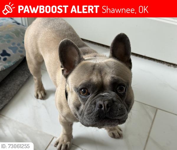 Lost Male Dog last seen Kickapoo & 1070 ( Hazel Dell ), Shawnee, OK 74804