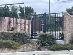 Found/Stray Unknown Dog last seen Stratus dr Pomona , Pomona, CA 91768