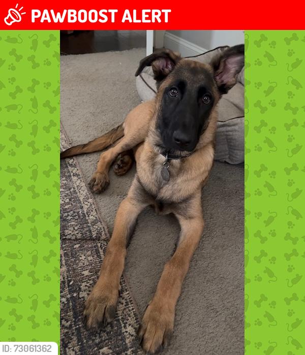 Lost Male Dog last seen Riverbend ests, Greenville County, SC 29687