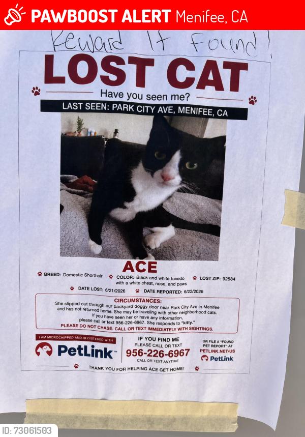 Lost Female Cat last seen Murrieta road, Menifee, CA 92586