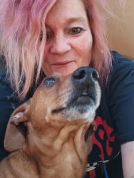 Lost Male Dog last seen Meyer and  timberland , Greenwood, IN 46143