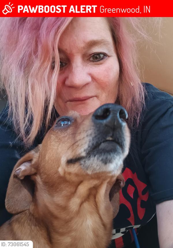 Lost Male Dog last seen Meyer and  timberland , Greenwood, IN 46143