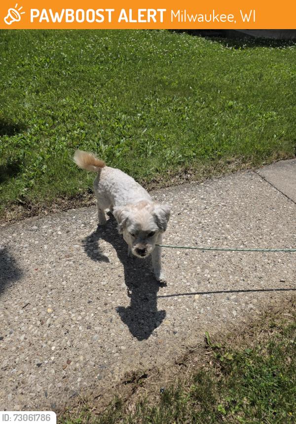 Found/Stray Male Dog last seen 68th and carmen, Milwaukee, WI 53218