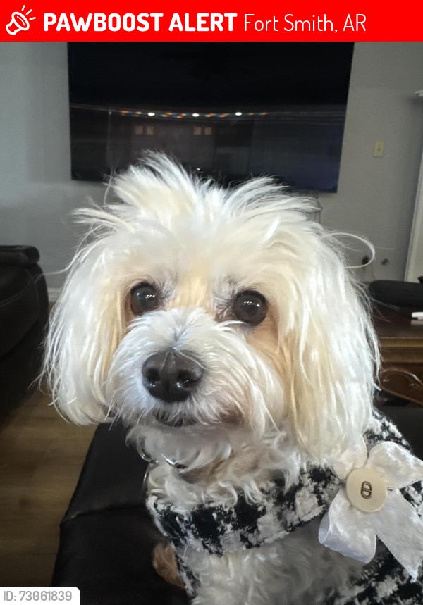 Lost Female Dog last seen Near Crescent Drive in Belle Chase Neighborhood, Fort Smith, AR 72916