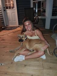 Found/Stray Male Dog last seen Roger's gas station, Pinson, AL 35126