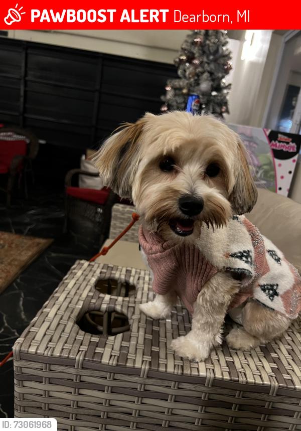 Lost Female Dog last seen Rotunda and Oakwood, Dearborn, MI 48124