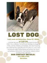 Lost Female Dog last seen Sherwood Trail- Shades of Sherwood, Minneola Township, MN 55992