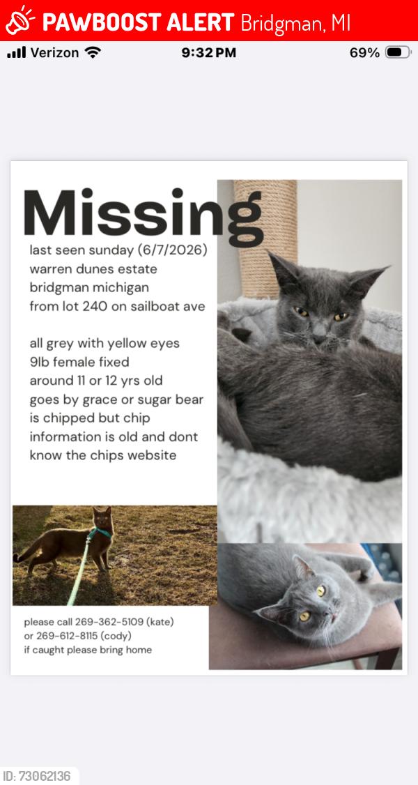Lost Female Cat last seen Warren dunes ests, Bridgman, MI 49106