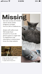 Lost Female Cat last seen Warren dunes ests, Bridgman, MI 49106