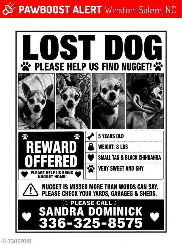 Lost Female Dog last seen Country Club Road area near Forsyth Country Club & Burkewood/Royalton Streets, Winston-Salem, NC 27104