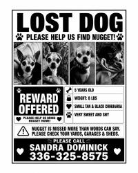 Lost Female Dog last seen Country Club Road area near Forsyth Country Club & Burkewood/Royalton Streets, Winston-Salem, NC 27104