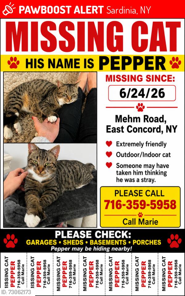 Lost Male Cat last seen Mystic Hills Brewery , Sardinia, NY 14055