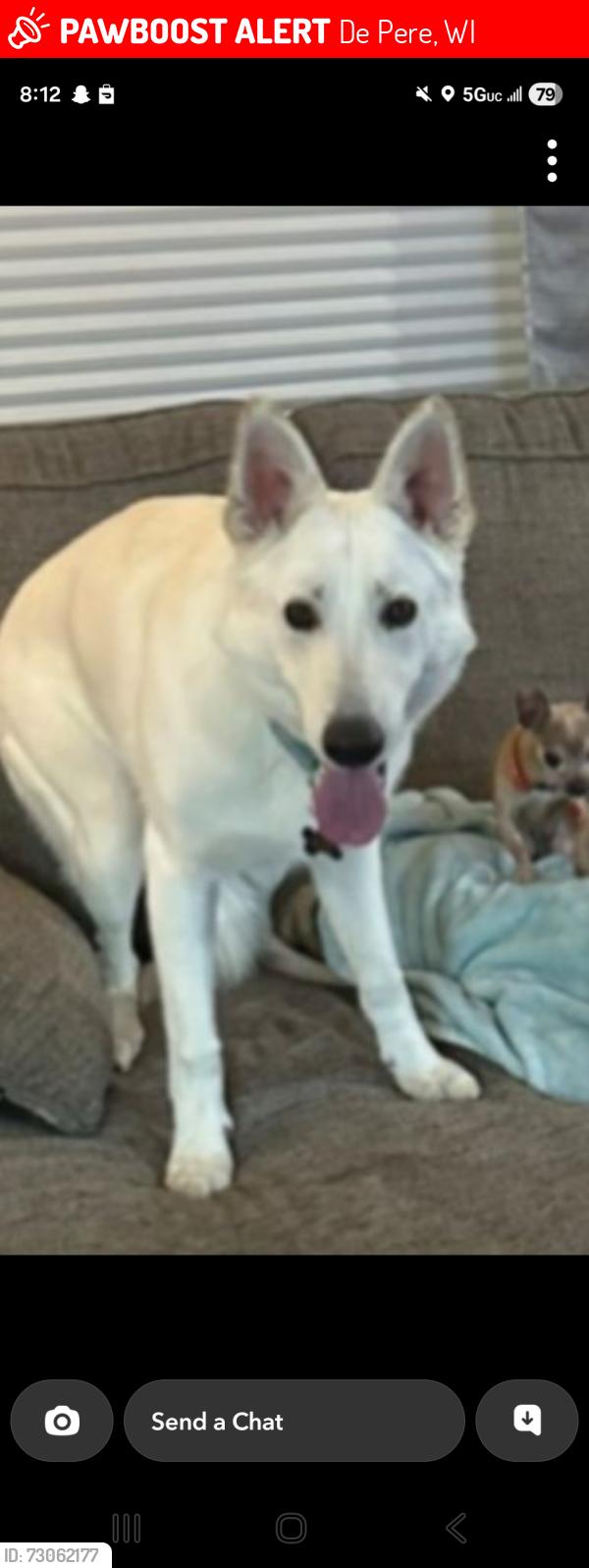 Lost Male Dog last seen Beware the rehab center on Lois st de pere, De Pere, WI 54115