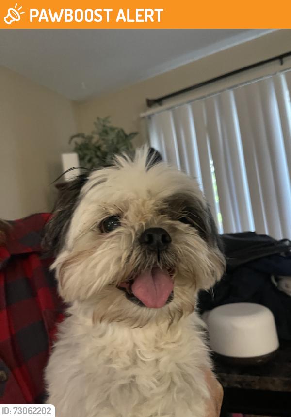 Found/Stray Male Dog last seen Woidland Hills R., Colorado Springs, CO 80918