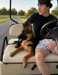 Lost Female Dog last seen She was at astra way when she was found, Arnold, MO 63010
