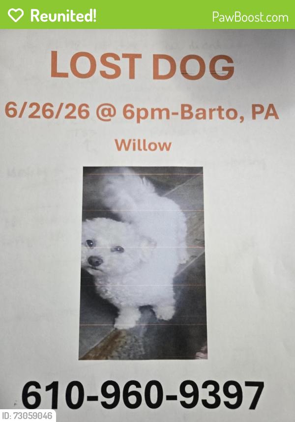 Reunited Female Dog last seen Cresent Lane, Washington Township, PA 19505