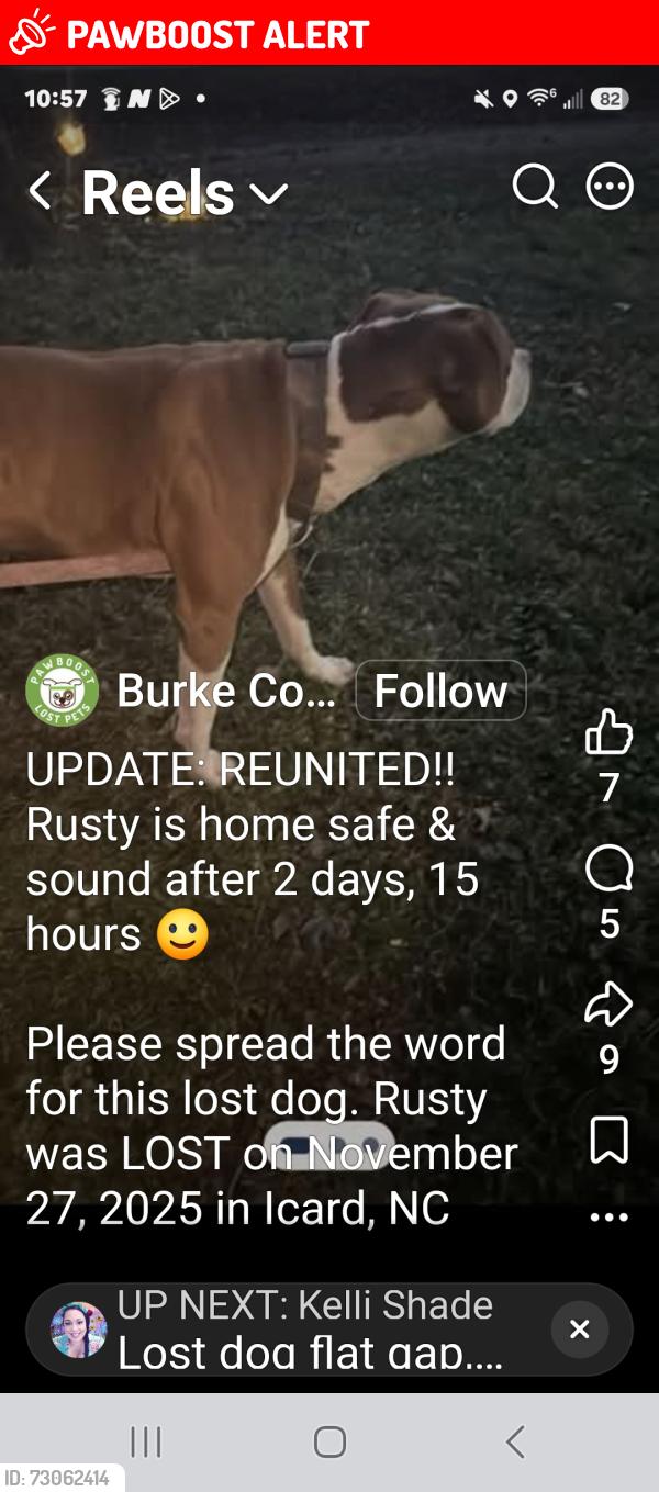 Lost Male Dog last seen Carp pond on 70, Connelly Springs, NC 28612