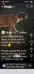 Lost Male Dog last seen Carp pond on 70, Connelly Springs, NC 28612