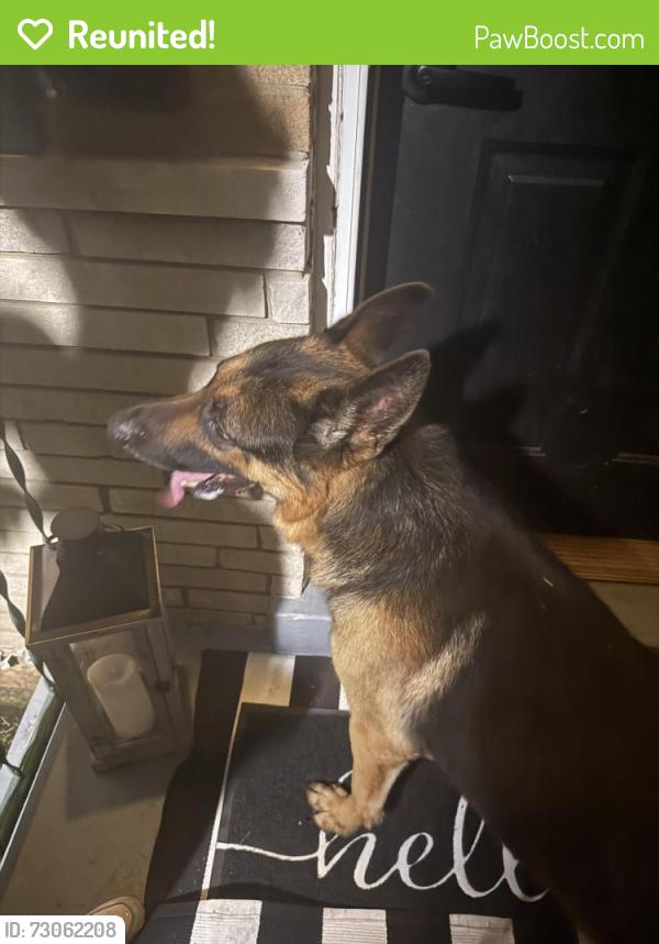 Reunited Male Dog last seen Adams and Coogan , Northbrook, OH 45231