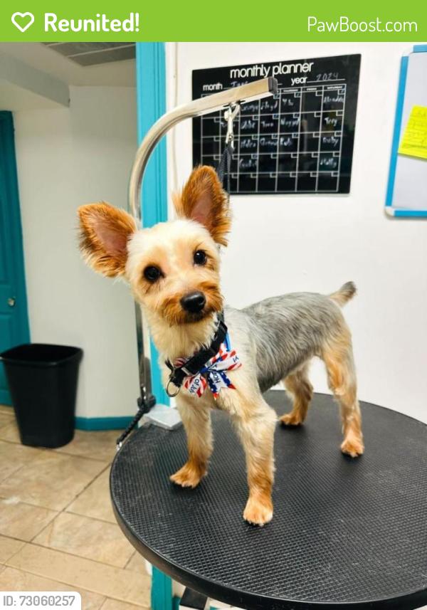 Reunited Female Dog last seen 166th St., cor Crocheron Ave, Flushing, NY, Queens, NY 11358