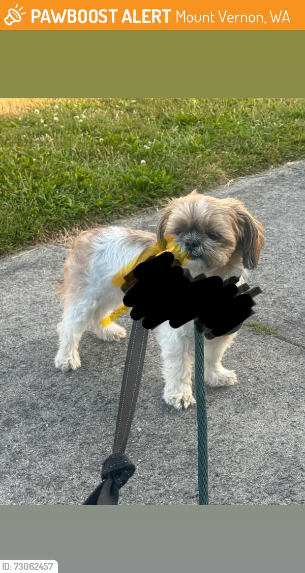 Found/Stray Unknown Dog last seen Near n 6th st, Mount Vernon, WA 98273