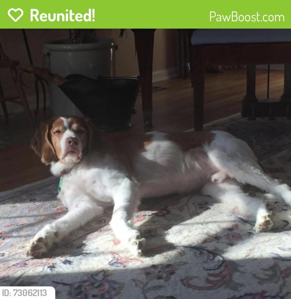 Reunited Male Dog last seen Stillmeadow Country Club near Ohio Pike, Cincinnati, OH 45245