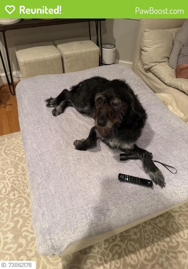 Reunited Female Dog last seen Fairfax Station, Fairfax Station, VA 22039
