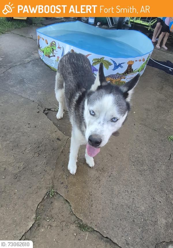 Found/Stray Unknown Dog last seen South 58th, Fort Smith, AR 72901