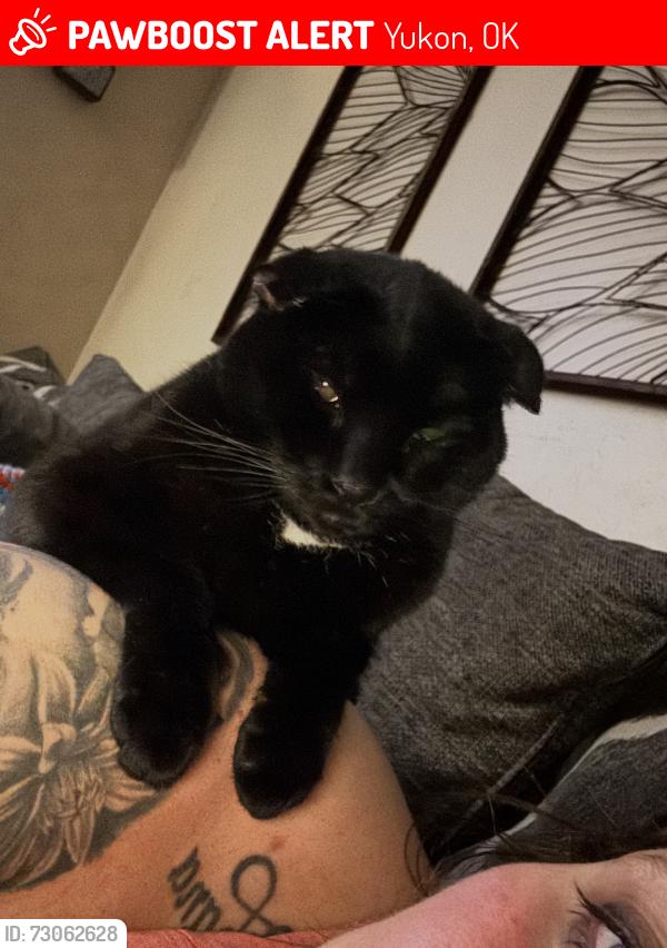 Lost Female Cat last seen Utah + Cornwell, Yukon, OK 73099
