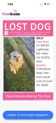 Lost Male Dog last seen Lightning rd indio 92293, Indio, CA 92203
