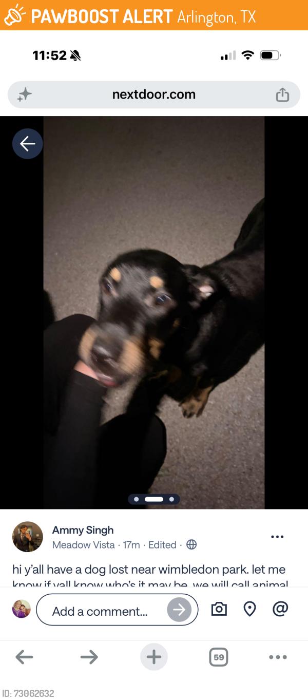 Found/Stray Male Dog last seen Wimbledon Park, Arlington, TX 76017