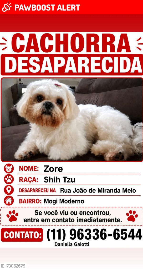 Lost Female Dog last seen Rua João de Miranda Melo 459, Vila Mogi Moderno, SP 08717-420