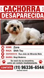 Lost Female Dog last seen Rua João de Miranda Melo 459, Vila Mogi Moderno, SP 08717-420