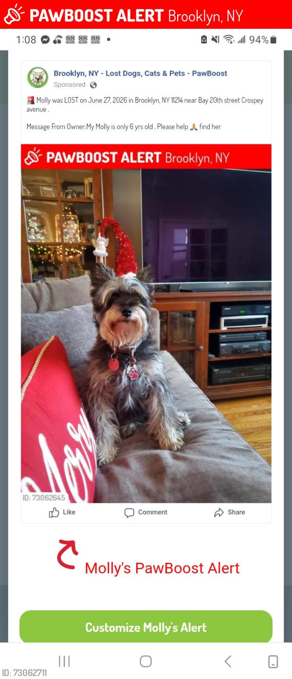 Lost Female Dog last seen Near Bay 20th street  Crospey avenue , Brooklyn, NY 11214
