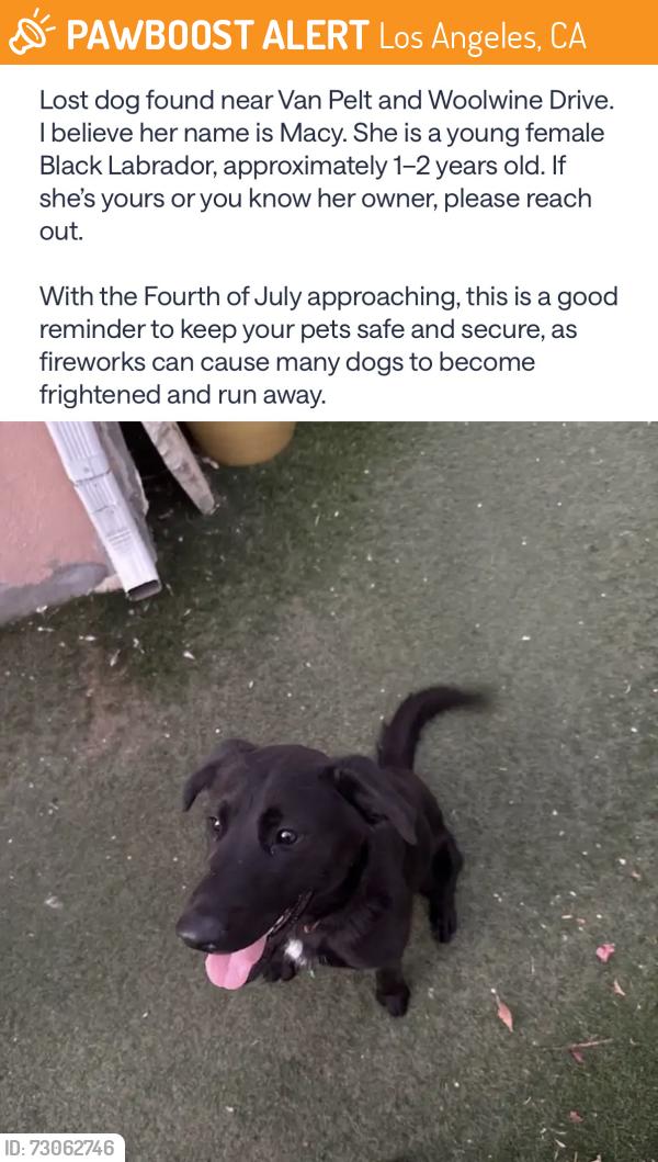 Found/Stray Female Dog last seen Van Pelt Ave & Woolwine Dr , Los Angeles, CA 90063