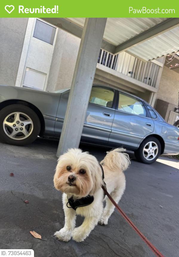 Reunited Male Dog last seen Diablo valley college, pleasant hill, Pleasant Hill, CA 94523